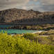 Kenneth_Meijer ~ The Galapagos Islands 11