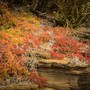 Kenneth_Meijer ~ The Galapagos Islands 6