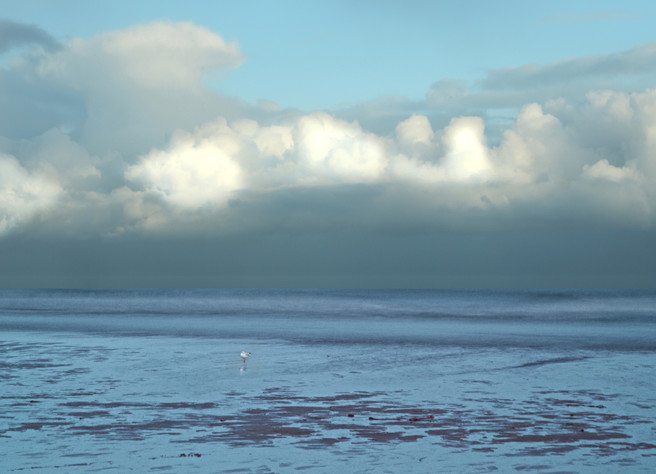 Susan Rowe photographer ~ Winter Afternoon at Saltburn