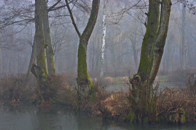 Xavier Arnau Bofarull ~ The Pond III