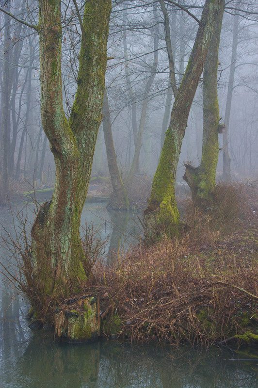 Xavier Arnau Bofarull ~ The Pond IV