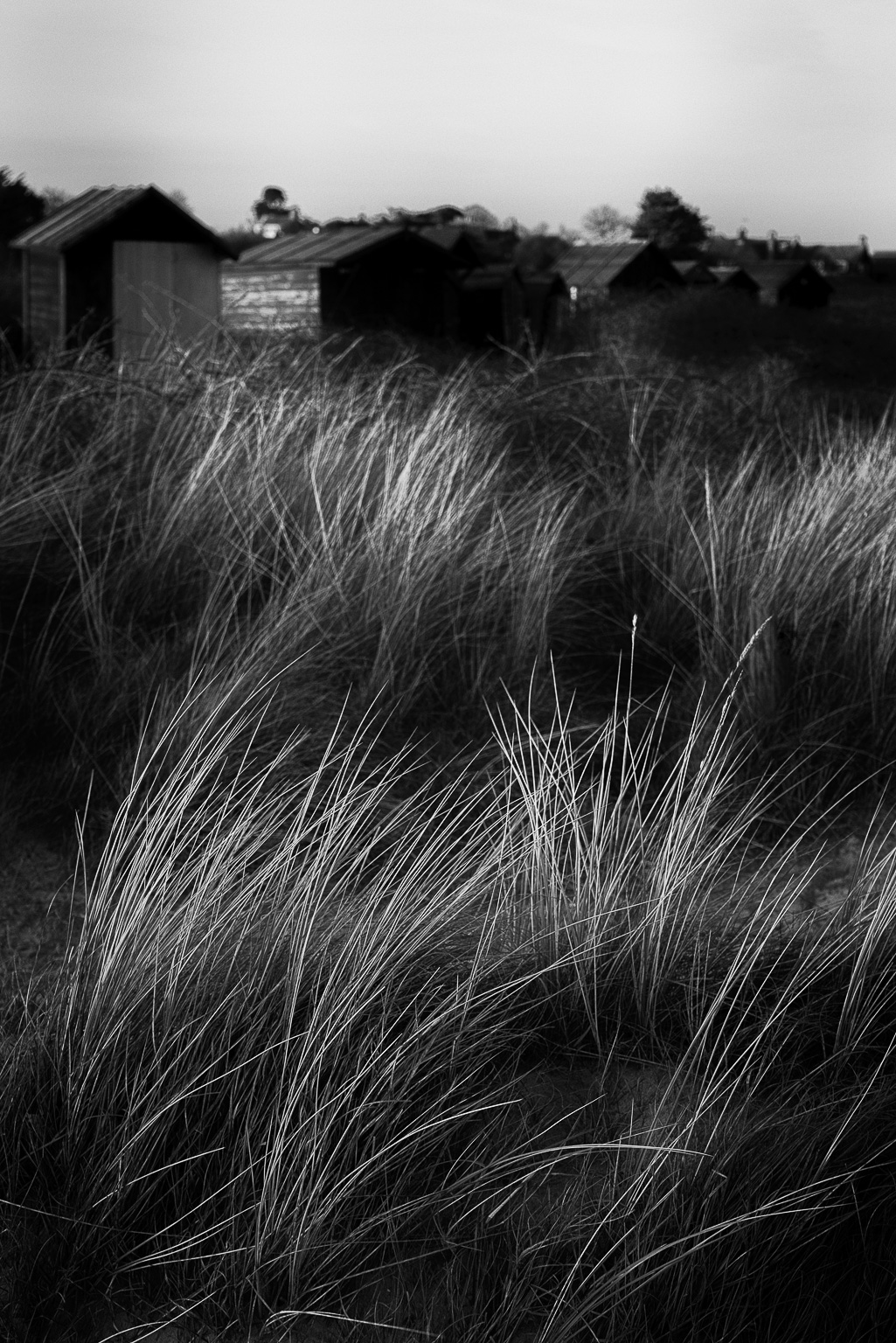 Walberswick Sand Dunes