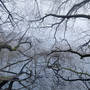 Hans Strand, Late Autumn mist, Lake Trekanten, Sweden, November 2009