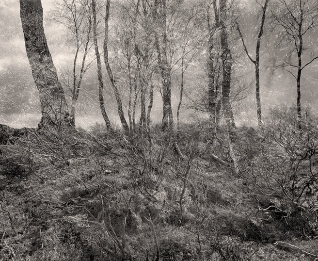 Rick Barks - Photography, chance and solitude image 2