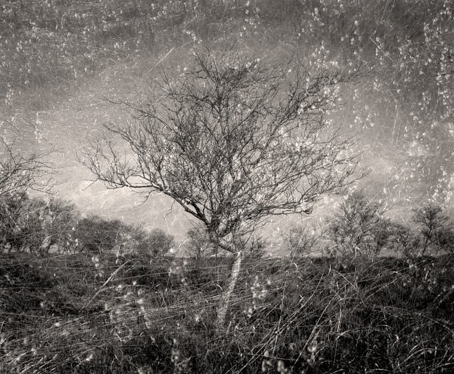 Rick Barks - Photography, chance and solitude image 4