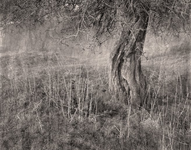 Rick Barks - Photography, chance and solitude image 7