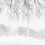 Lizzie_Shepherd_5313_snow_lines