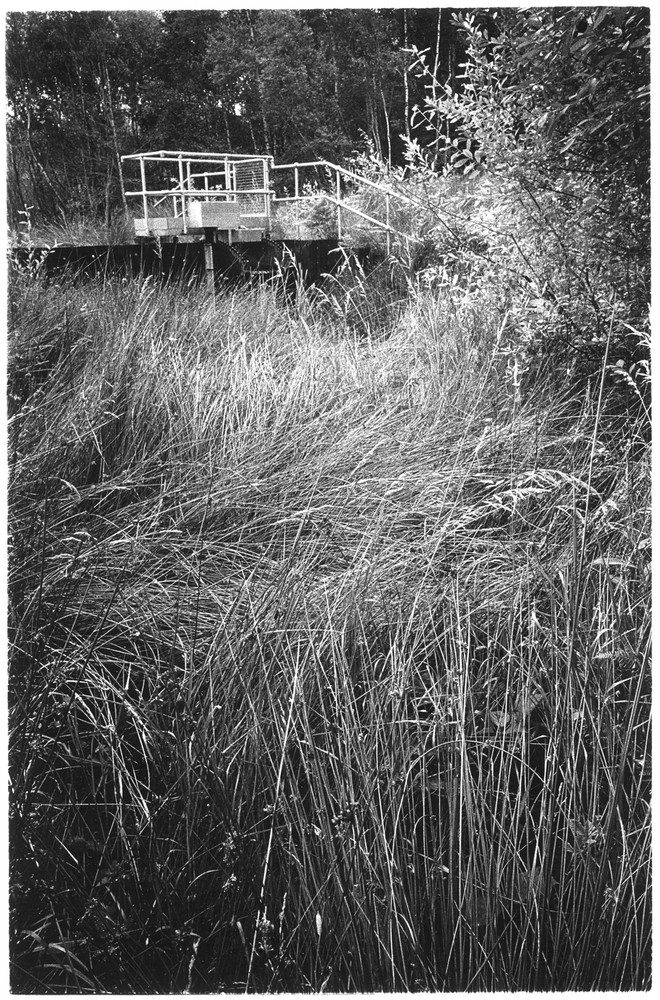 Thorne and Hatfield Moors, South Yorkshire On Landscape