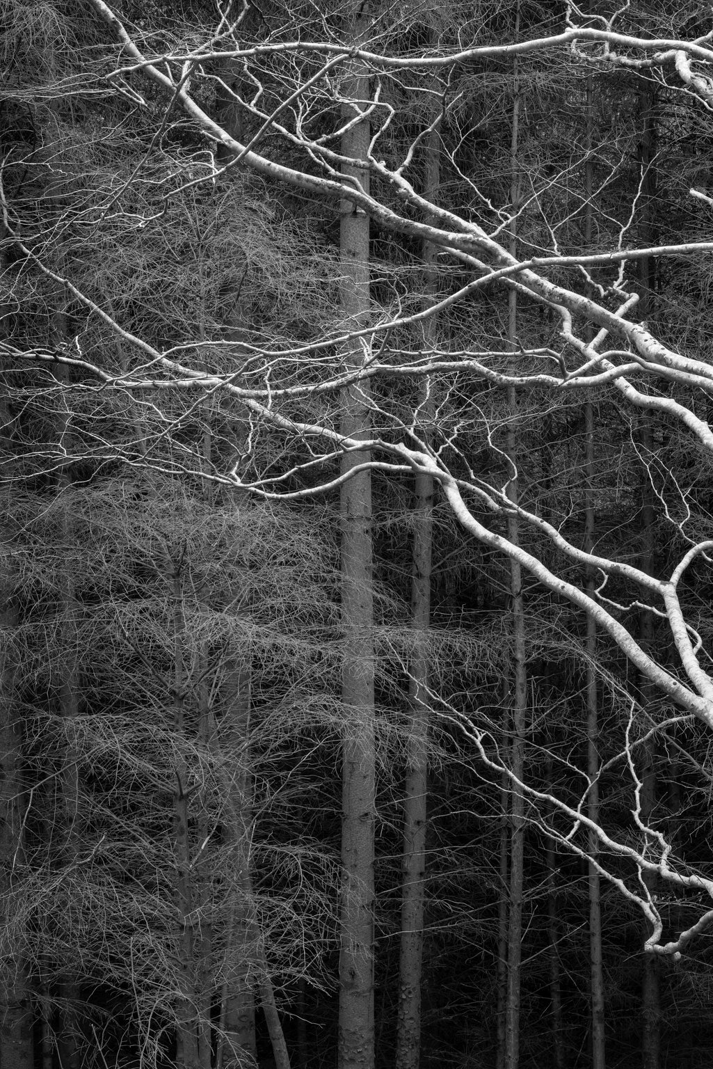 Paul Gallagher landscape photographer 7