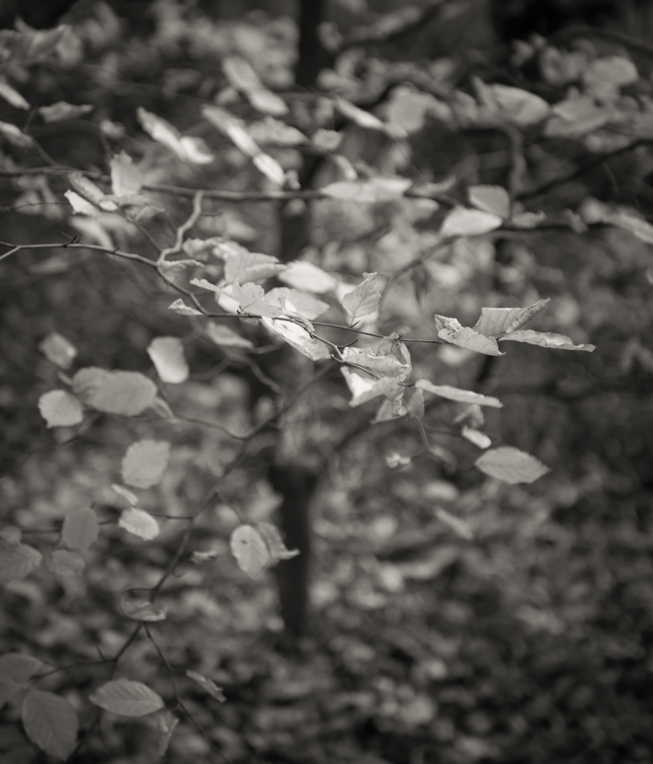 Paul Gallagher landscape photographer 9