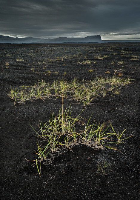 Flood Plains, South Iceland.