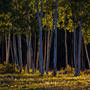 Guy Tal, Last Light at Camp ~ Tragedies of the Landscape Commons