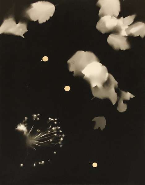 Kimberly Schneider - Untitled, Light Dripping