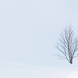 A monochrome vision along the frozen shores of the loch