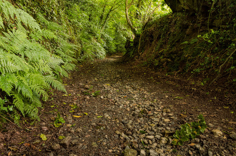 Phil Hemsley - Higher Bowden Lane, Totnes