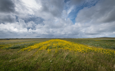 Grant Bulloch - Berneray