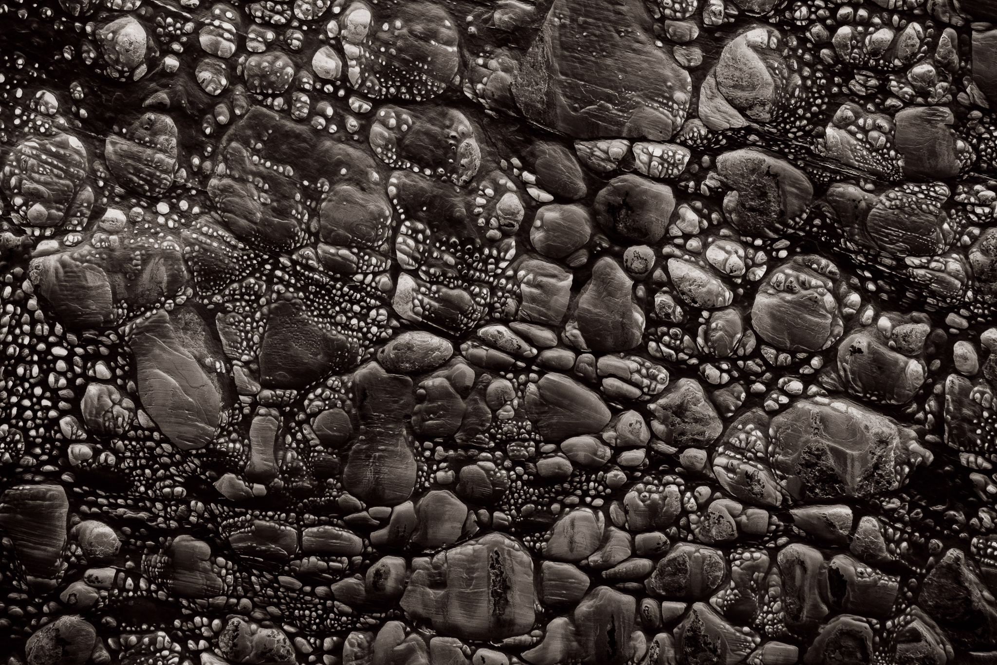 Guy Tal - In The Beginning