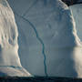 Joe Cornish - Kittiwake Iceberg Greenland