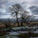 Kate Maxwell - Death dance: remains of a small-holding which was still occupied a century ago.