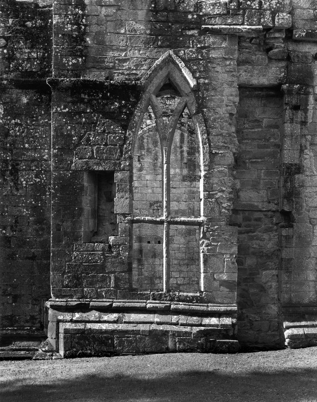 Richard White - Dryburgh Abbey