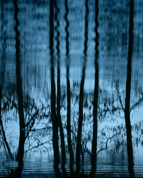Andy Holliman - FollyPond-5