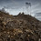 Joe Cornish - Strath_Conon clear Cut