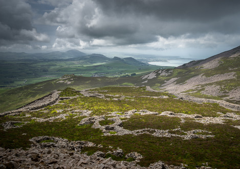 Joe Cornish - TrerCeiri