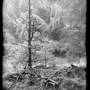 Matt Lethbridge - Dry Plate Landscapes 05