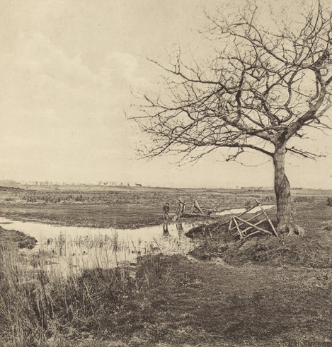 Peter Henry Emerson - Leafless in March 1887