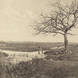 Peter Henry Emerson - Leafless in March 1887