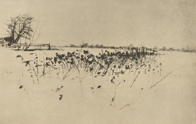 Peter Henry Emerson - The Snow Garden 1895