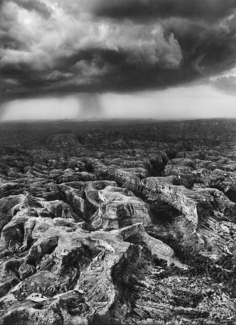 Sebastiao Salgado Genesis 180