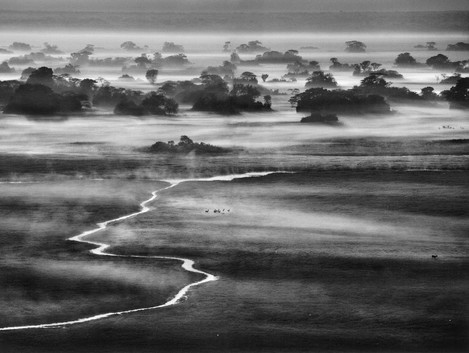 Sebastiao Salgado Genesis 229