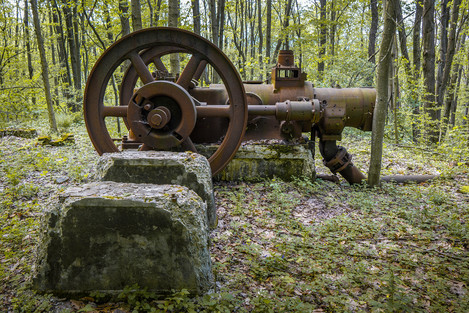 Allegheny Forest -Oil drilling artefact 1930’s