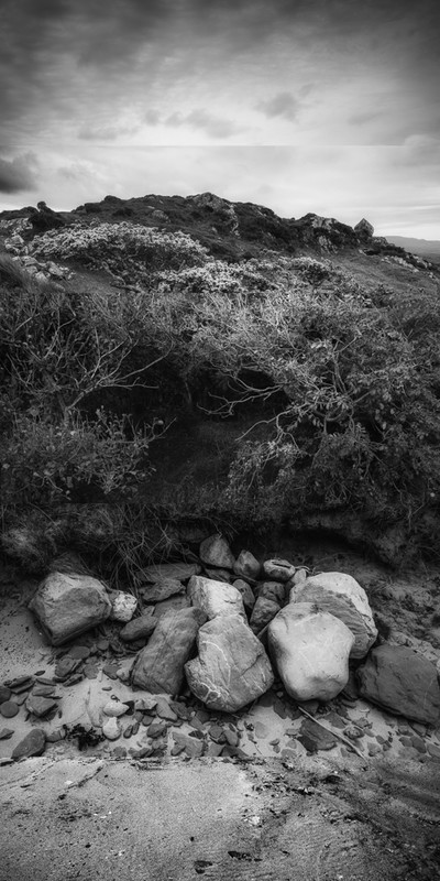 Janet Matthews - Constructed Landscapes_Shelter