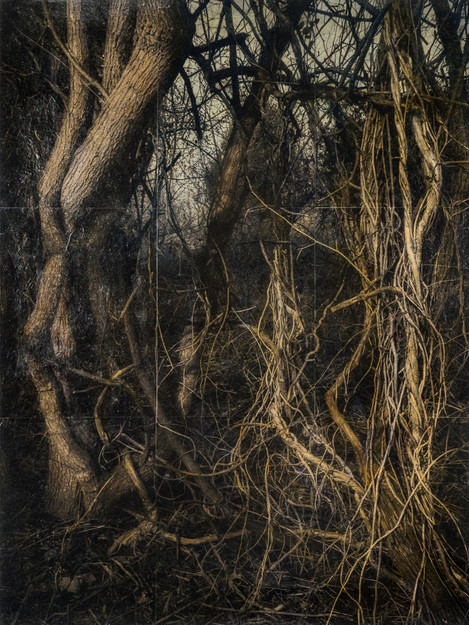 Janet Matthews - Tangled series_Dance