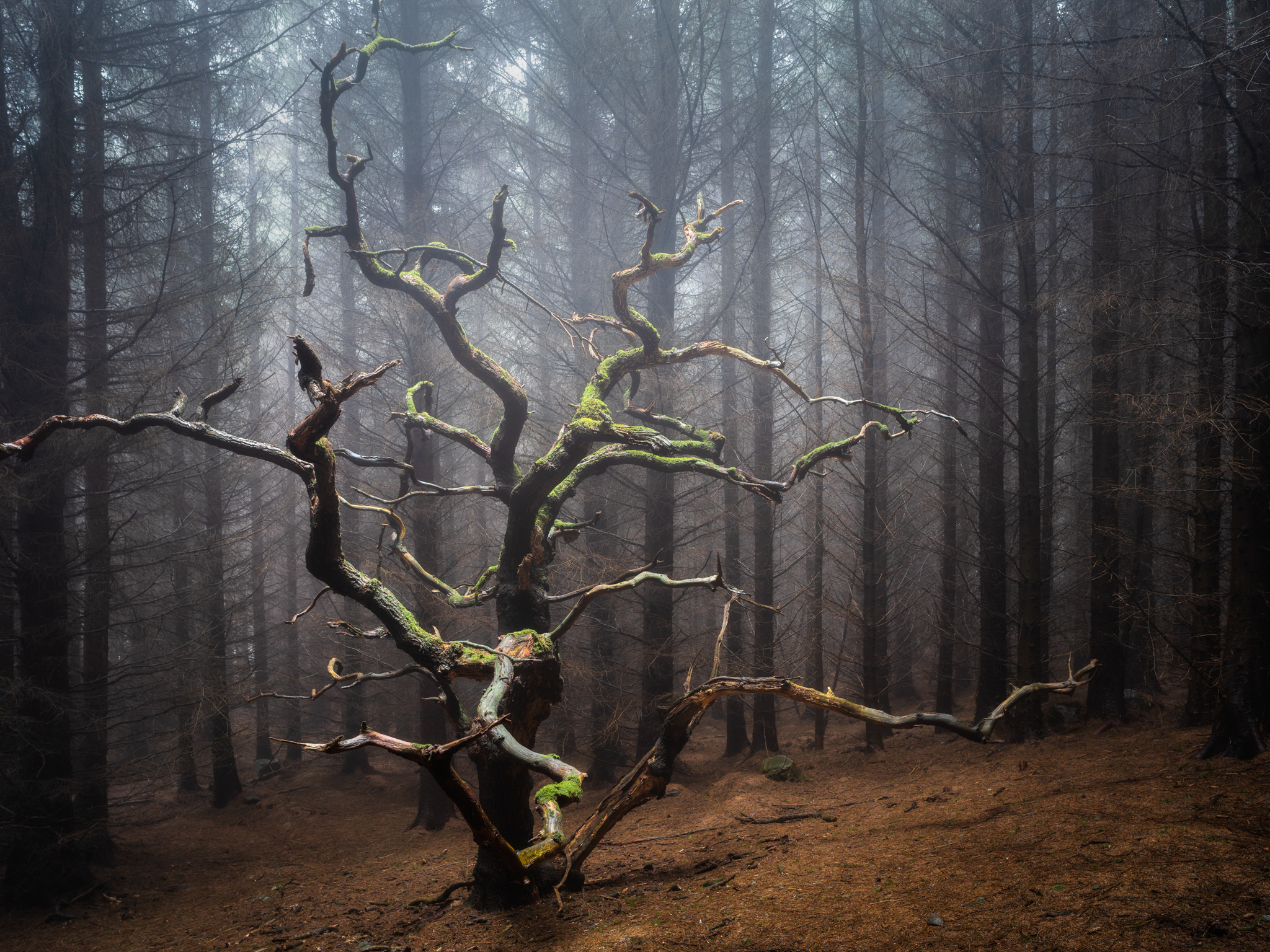 Simon Baxter - afraid-of-time-ii