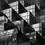 Trump Tower -Roger Arnall