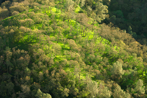 Almost Dinner Time - Mount Diablo State Park, California