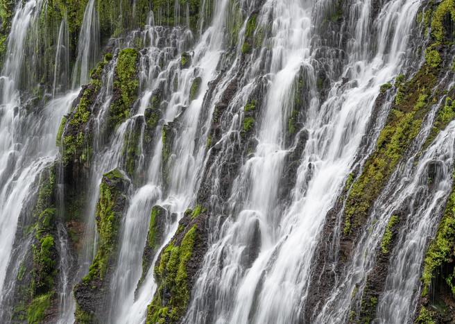 Forest Oasis - McArthur-Burney Falls State Park, California