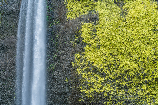 Curiosity - Latourell Falls, Columbia River Gorge, Oregon