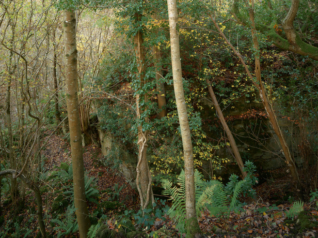 Joe Cornish - Abandoned Quarry