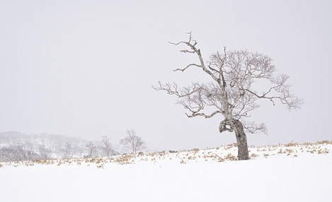 Martin Addison - Hokkaido-12