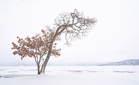 Martin Addison - Hokkaido-15