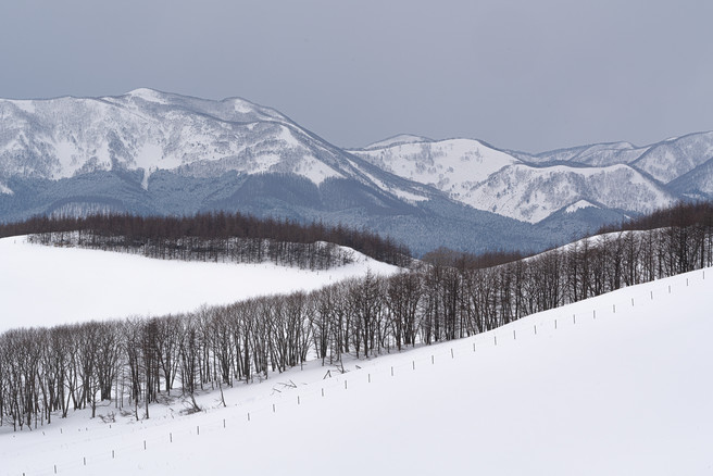 Martin Addison - Hokkaido-18