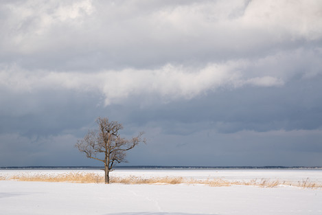 Martin Addison - Hokkaido-8