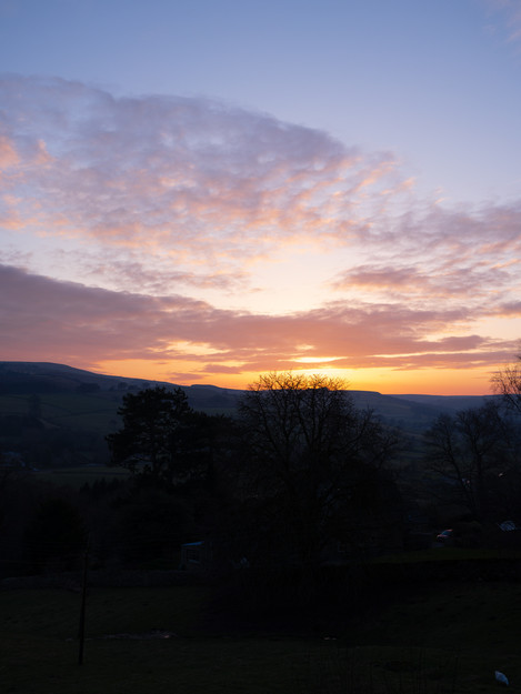 Back Garden Sunset, GFX 100S, 1/100th at F5.6 GF 45mm F2.8 RAW and Processed to taste