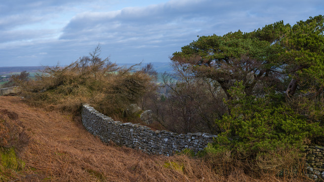 Guissecliffe, Nidderdale. GFX100S, 80mm 1/50th sec F13 3 Frame Stitch