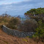 Guissecliffe, Nidderdale. GFX100S, 80mm 1/50th sec F13 3 Frame Stitch