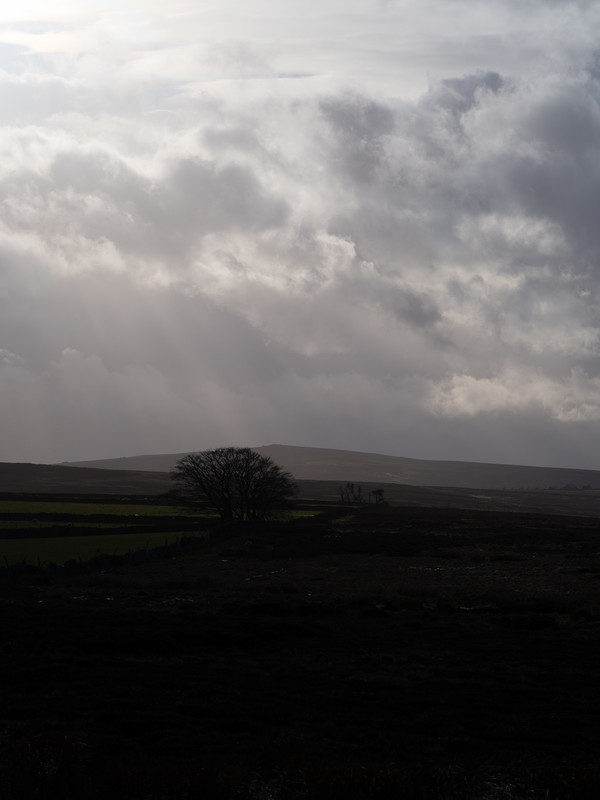 Heyshaw Moor, RAW 1/400th F10, 100-200mm Processed to taste and crop to 5x4